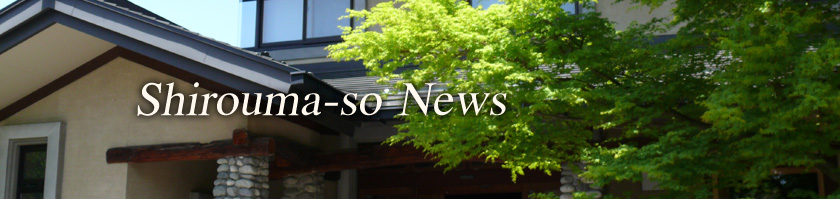 Shirouma-so News